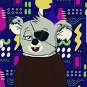 jamesnotsleepykoala