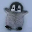 brawlstars_kidsのアバター