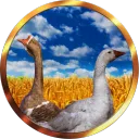 goosecompany