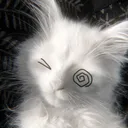 .willowx.x