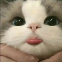 mumiw0_0 member profile picture