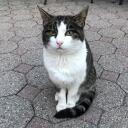 まっちゃ
