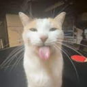 xxl30n#1905's avatar