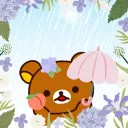 momo_che