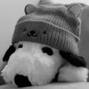 dagi3008