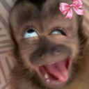 avatar 𝕱𝖆𝖗𝖆𝖍'𝖎𝖓