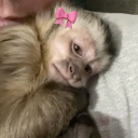 avatar 𝕱𝖆𝖗𝖆𝖍'𝖎𝖓