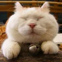 Аватар opiymnivoin