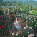 avatar นางสาวรวยเงิน สวยสามารถ