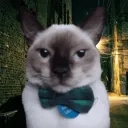 pringoelpanaoficial
