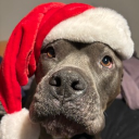 avatar 𝗟!𝗹𝗹𝘆