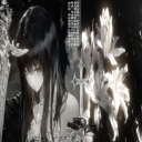 avatar 𝗅𝗂𝗅𝗂𝖾𝗌