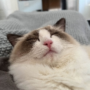 avatar notacomputer_ok