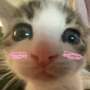 hyihoj