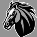 blackbronco