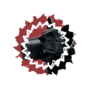 koiranhammas member profile picture