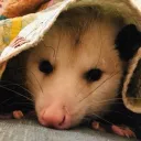 bl00dsucker_. avatar