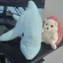 emiliocantogd