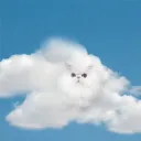clouds.org