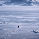 avatar Yajo de santos