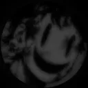 itsinstinct1 avatar