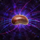 beanacceleration avatar