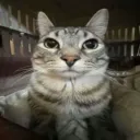 qwwwaq_