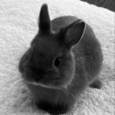 avatar aya <𝟑 .ᐟ