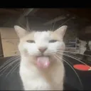 almiausksk898 avatar