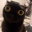 avatar riya