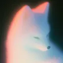 musang.tosca
