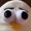 ashvlrt