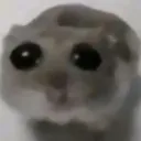 officalpersonlover avatar