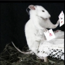 avatar Cotton Headed Ninny Muggins