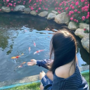 avatar karardı yine ay