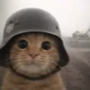4ervv