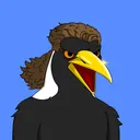 collingwoodfc.