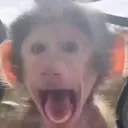 a discord avatar