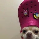 quarantedouzeee