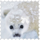 avatar ˙✧˖° ✮ ⋆ ѕαgє‧˚꒰✮ ୭ ˚. ᵎᵎ