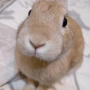 louuse52_35720.'s avatar