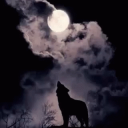 lonely_wolf95