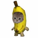 prince_sahani137a