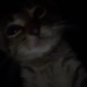 avatar MineCraftMaster29