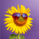 avatar ŞŦΔŘҜØŇ