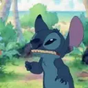 grayisacow13