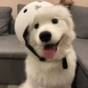 fooyy
