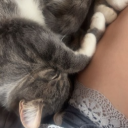 avatar user8161571189