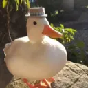 duckam