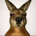 avatar 🇲🇦⟩𝙇𝙖𝙮𝙔⟨🇨🇴92